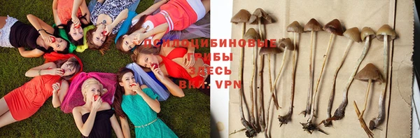 spice Алексеевка