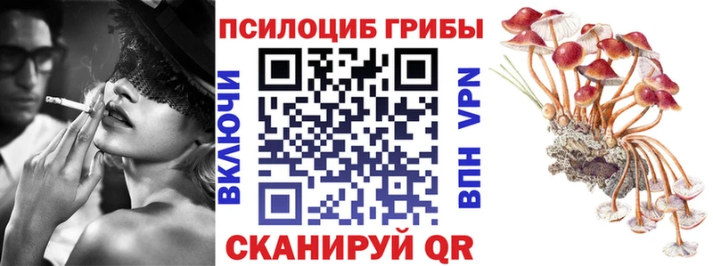гидра зеркало  Кремёнки  Галлюциногенные грибы мицелий 
